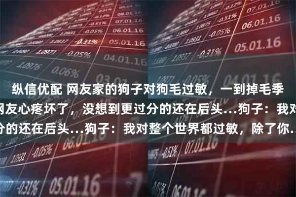 纵信优配 网友家的狗子对狗毛过敏，一到掉毛季就化身“功夫熊猫”…网友心疼坏了，没想到更过分的还在后头…狗子：我对整个世界都过敏，除了你…