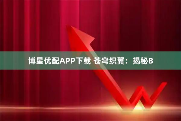 博星优配APP下载 苍穹织翼：揭秘B
