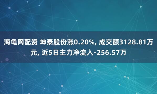 海龟网配资 坤泰股份涨0.20%, 成交额3128.81万元, 近5日主力净流入-256.57万